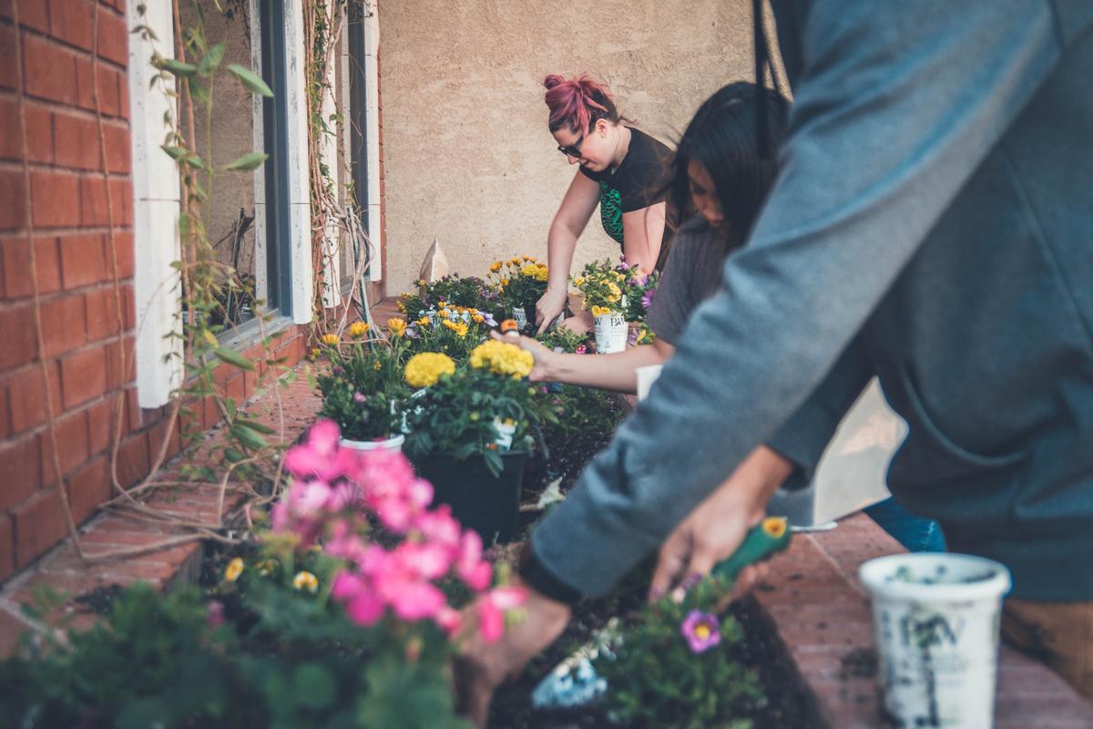 A person planting flowers in a colorful garden with a sunset in the background.
