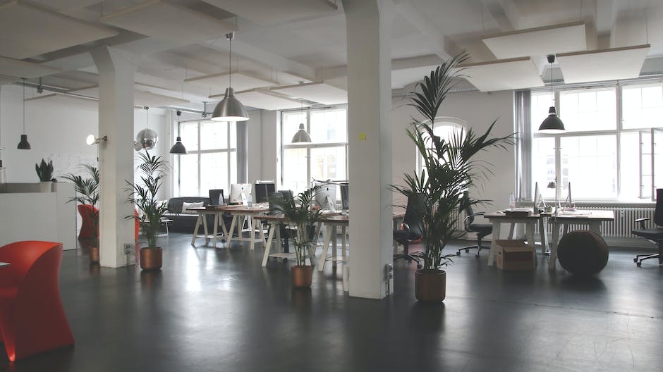 Image of a lush and vibrant office space filled with no-light plants, creating a serene and visually appealing environment.