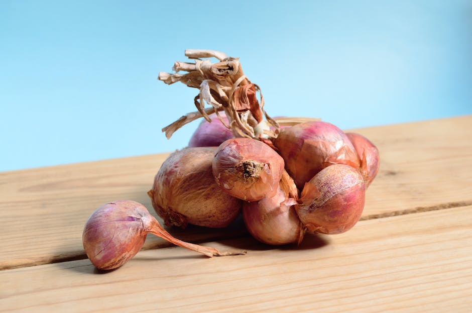 Image of a variety of onions in different colors, shapes, and sizes as a visual representation of successful onion cultivation.
