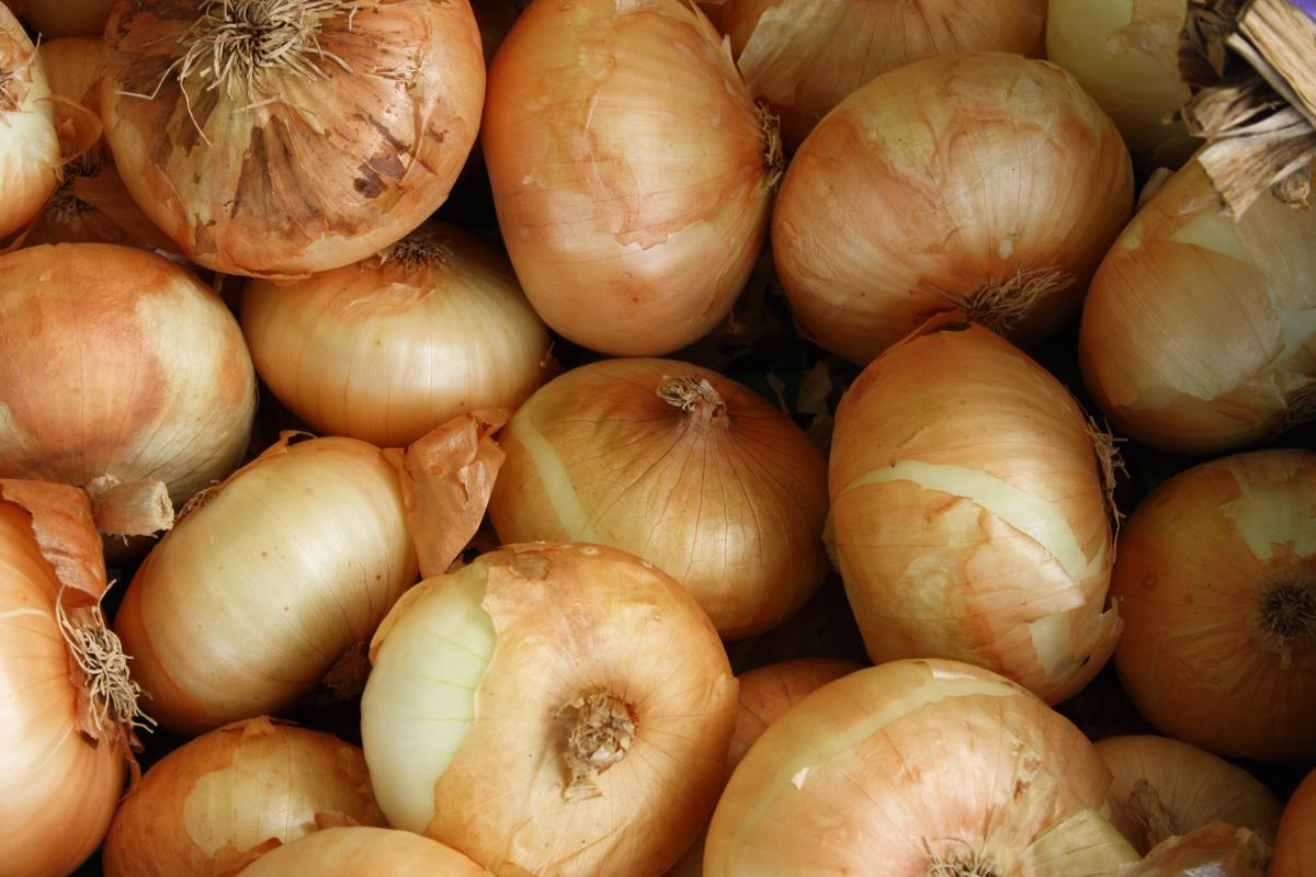 A variety of onions growing in different containers, showcasing the diverse options available for container gardening.