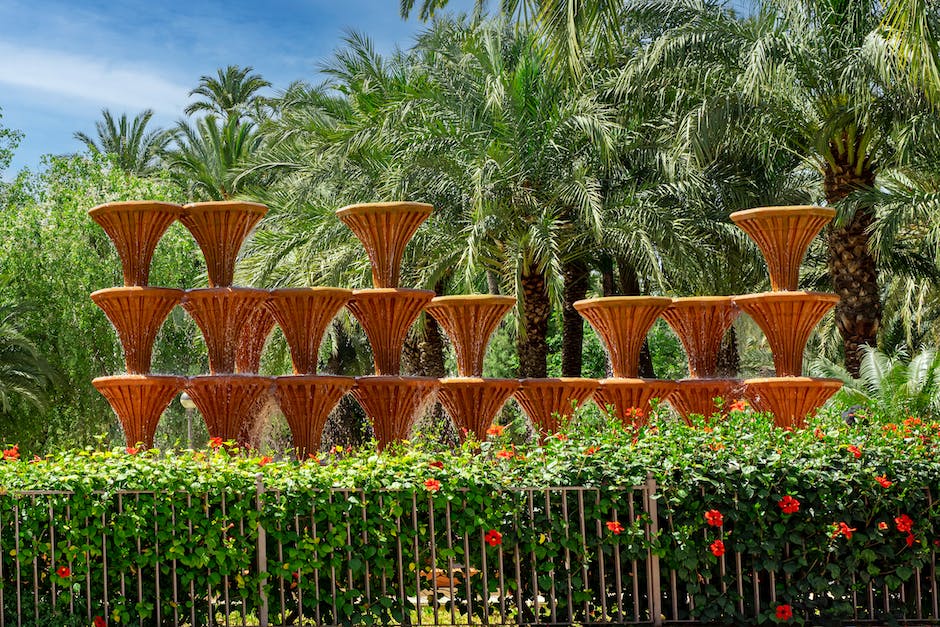 Image of palms being watered and cared for