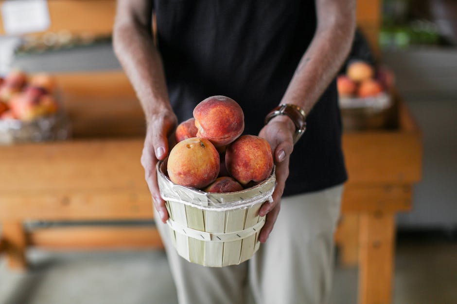 Image of a peach tree with lush foliage and ripe peaches hanging from the branches.