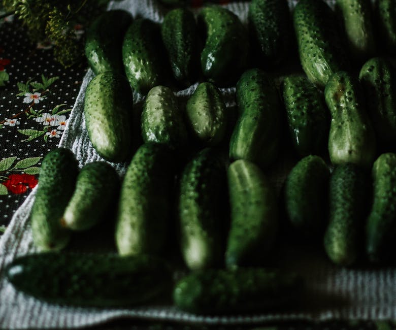 A close-up image of ripe cucumbers ready for harvest