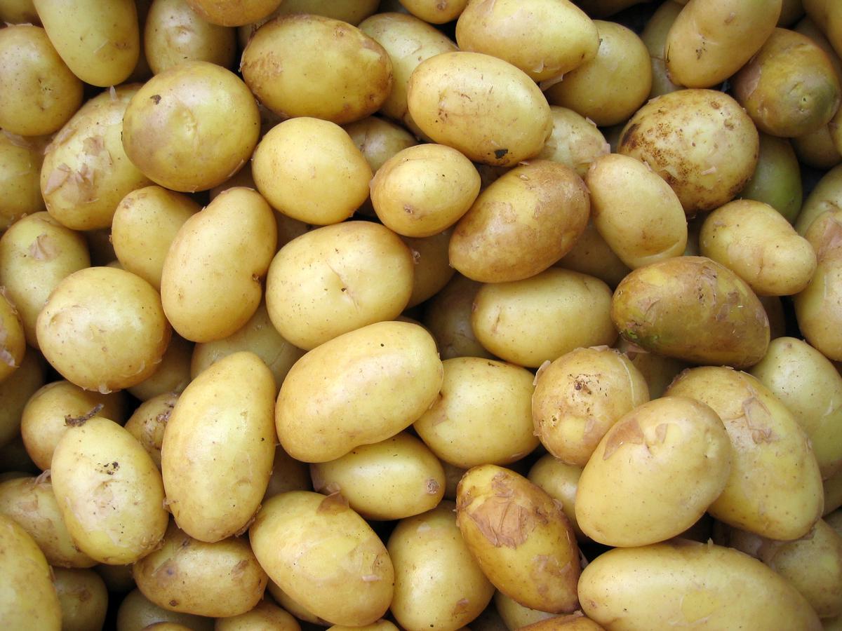 A well-arranged crate of potatoes stored in a cool, dark environment, ensuring their freshness for an extended period of time.