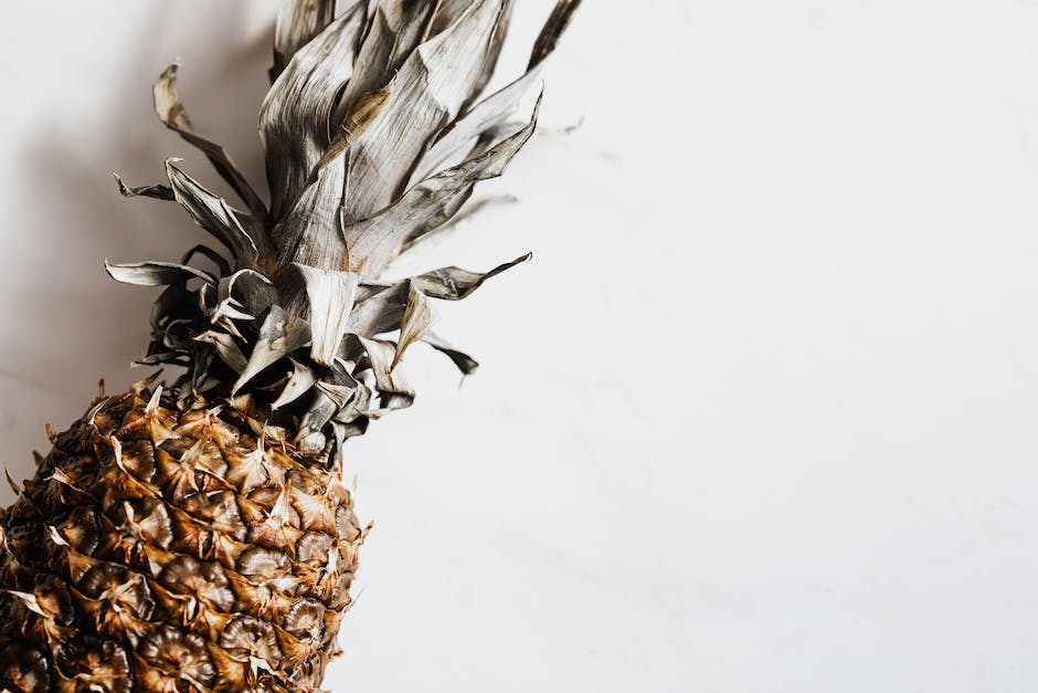 A pineapple top with dried leaves and exposed stem ready for planting