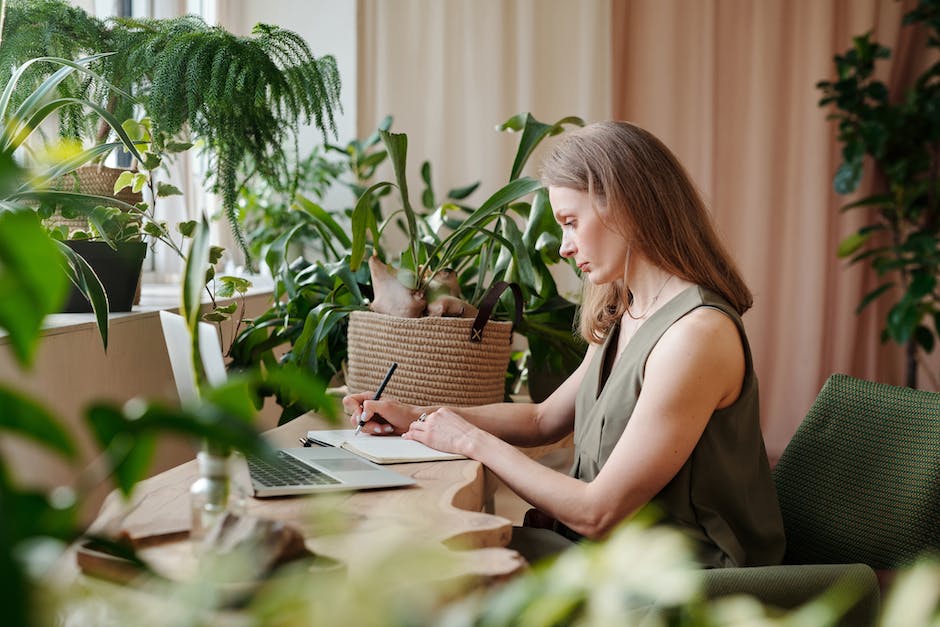 Image of various plants and a cat, showcasing plant-feline cohabitation.