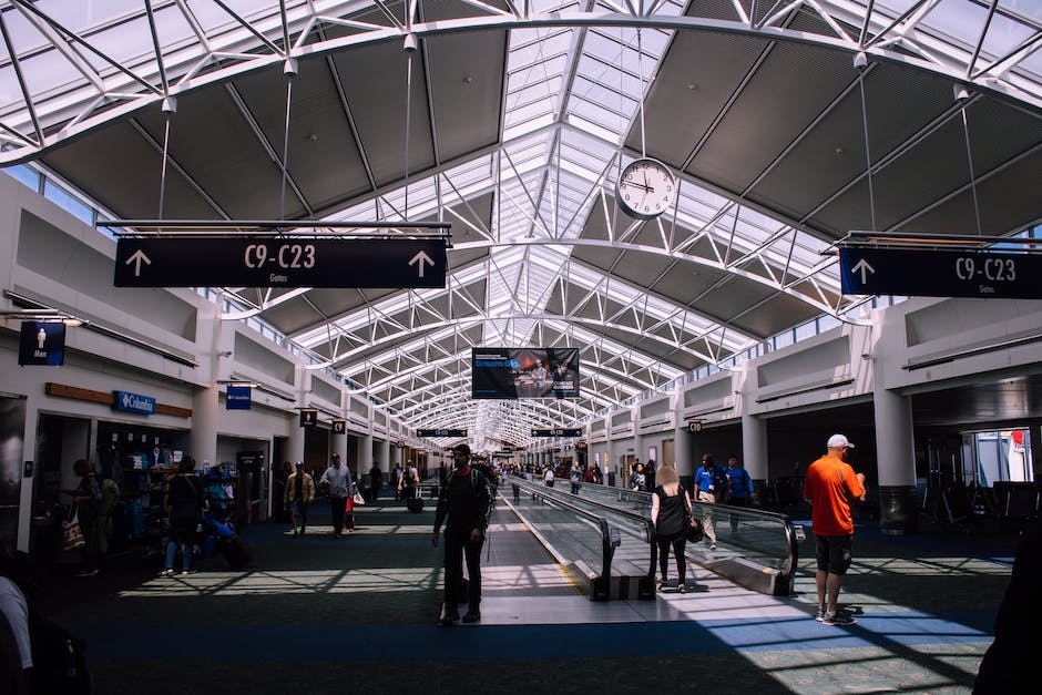 An image of a person carrying a potted plant through an airport terminal.