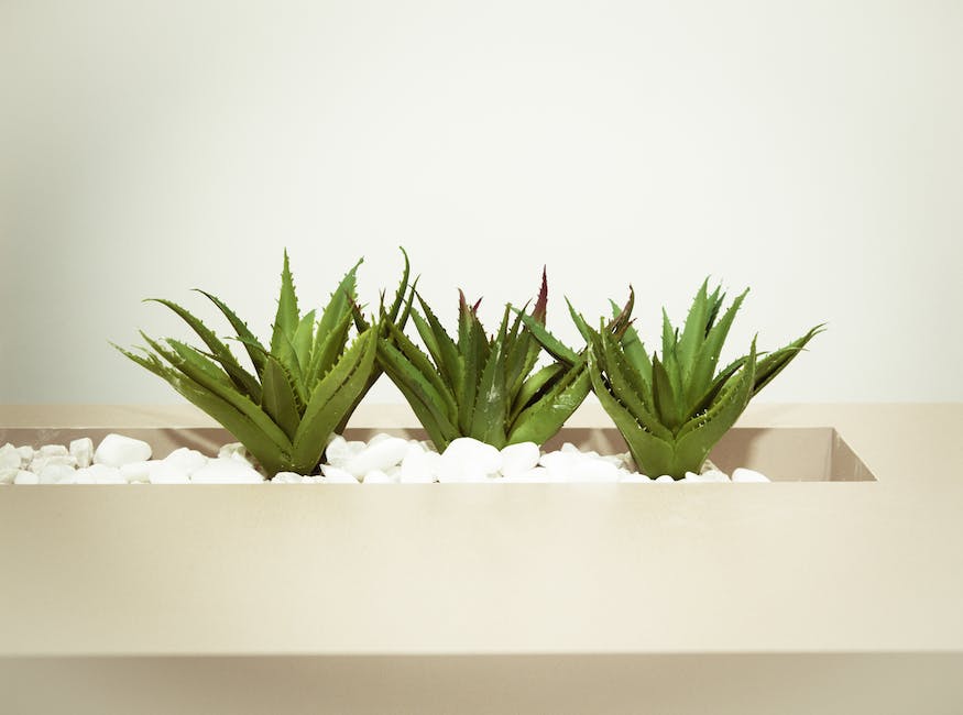 Different types of plants placed in a bathroom, creating a calming and serene environment for relaxation.