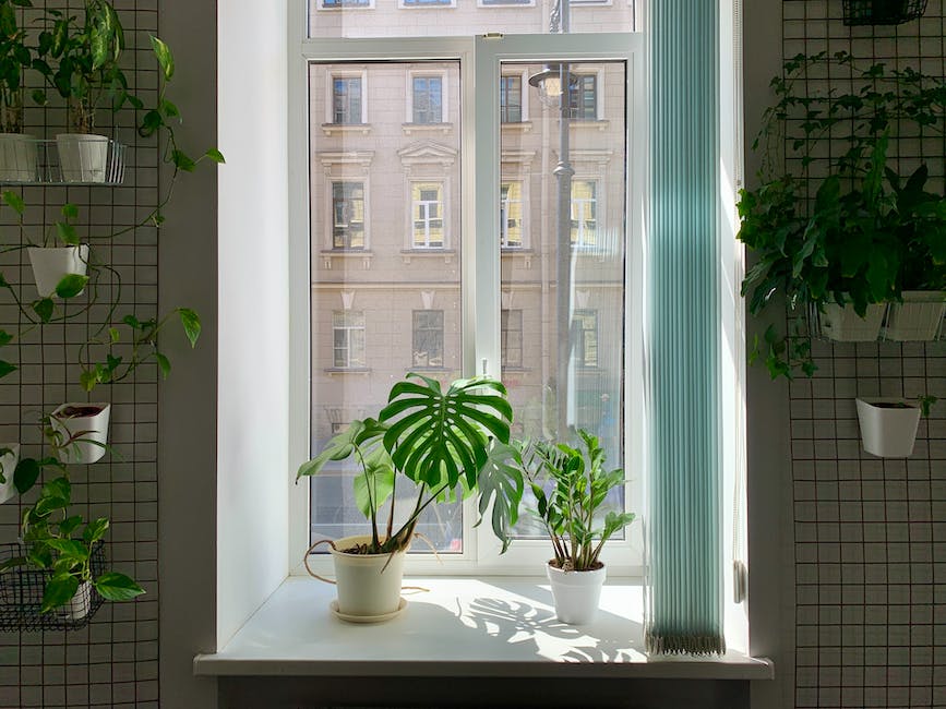 Image of cat-friendly plants