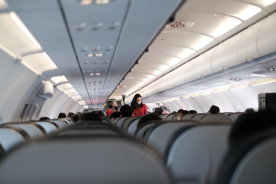 Image of plants traveling, showing a person carrying a plant in a pot while boarding an airplane.