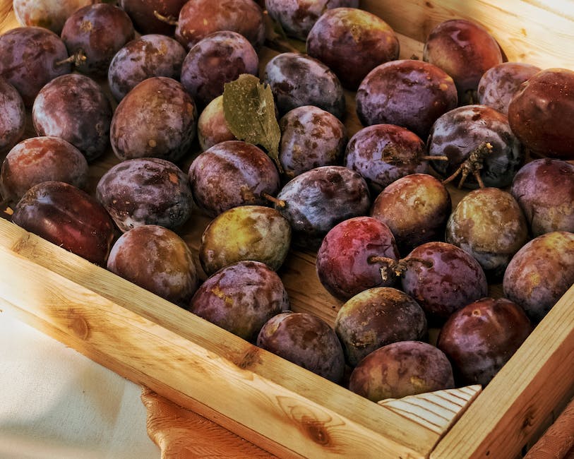 Image of ripe plum seeds ready for propagation