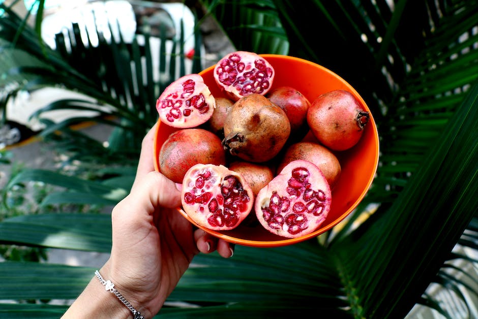 A vibrant pomegranate tree with lush green leaves and ripe red fruits hanging from its branches