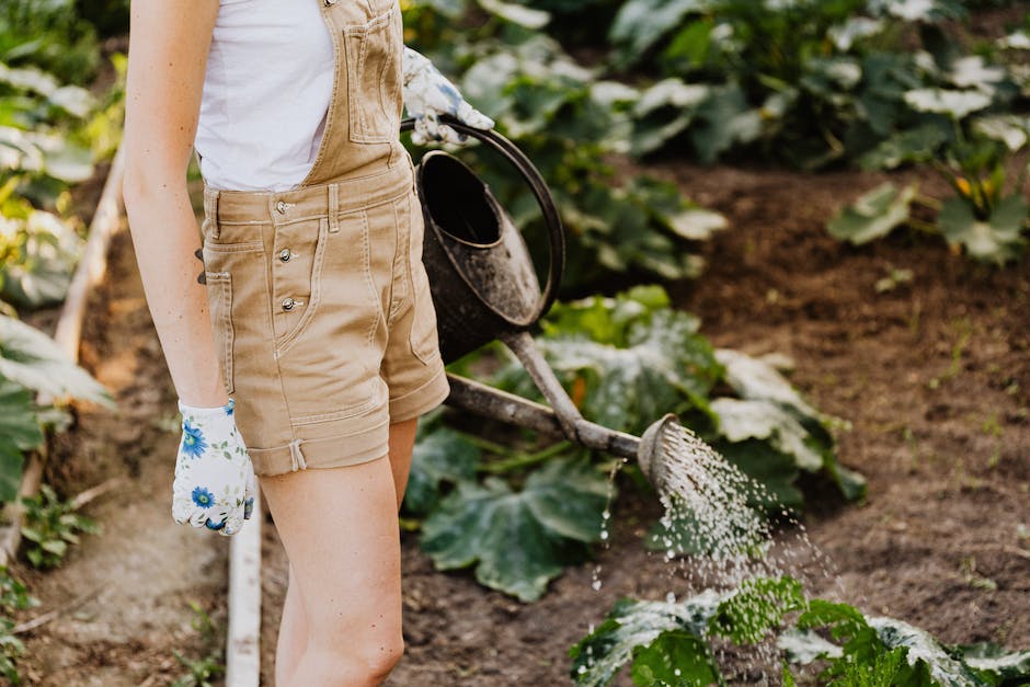 Image depicting a person watering plants in a garden