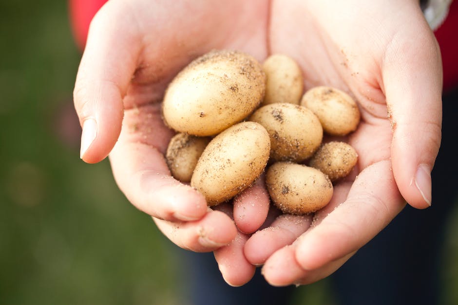 Image Description: A close-up photograph of a potato submerged in water, with toothpicks attached to the sides to keep it afloat.