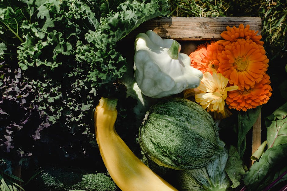 Image of a raised garden bed framing flowers and vegetables