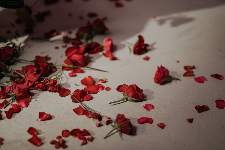 A variety of colorful rose seeds displayed in a beautiful arrangement