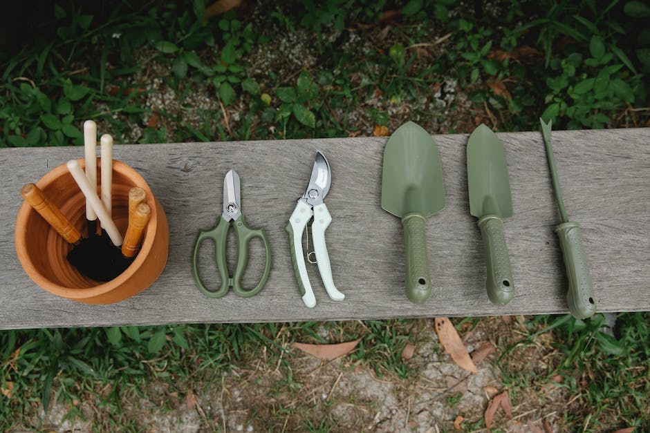 Image of a person pruning shrubs with gardening scissors and gloves