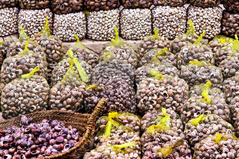 An image of a snail-infested garden, with snails crawling on plants and flowers.