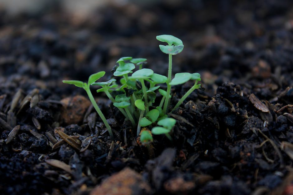 Image of various types of soil nutrients represented as colorful particles