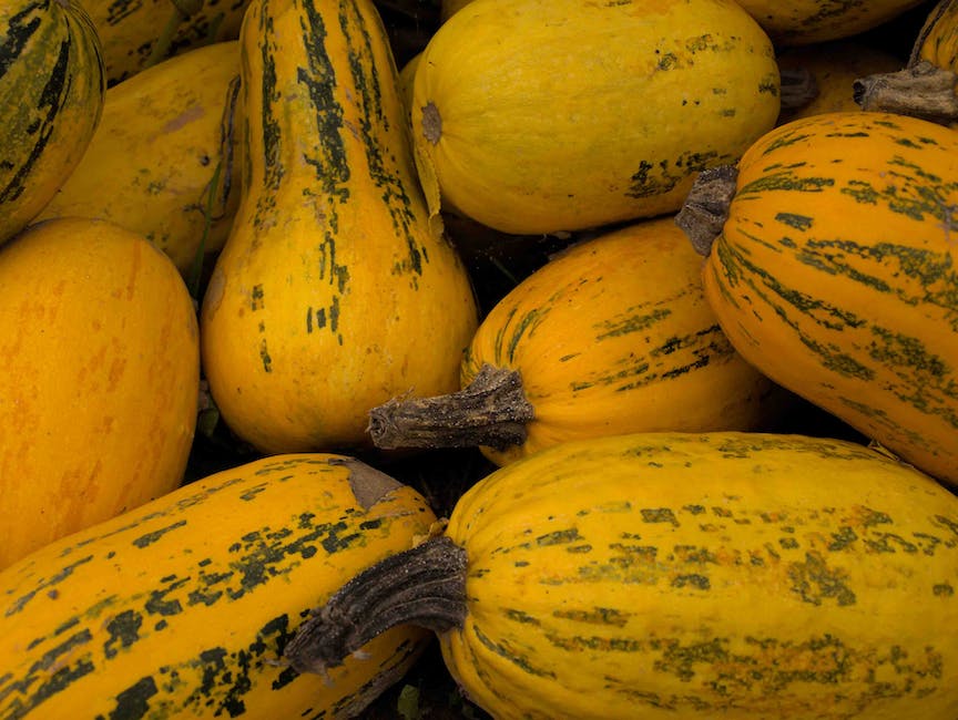 A ripe spaghetti squash with strands of squash resembling spaghetti, ready to be cooked.