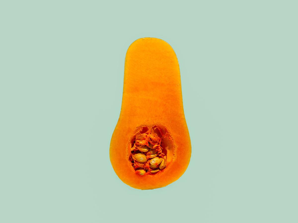 A ripe spaghetti squash being harvested from a plant, ready to be used in a delicious meal.