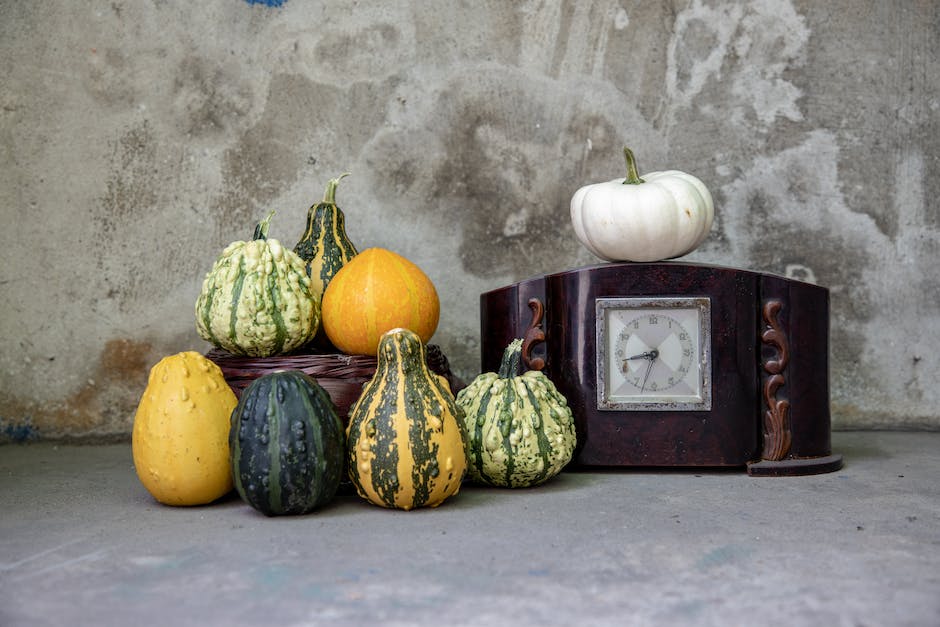 Image of freshly harvested and ripe spaghetti squash, ready for picking