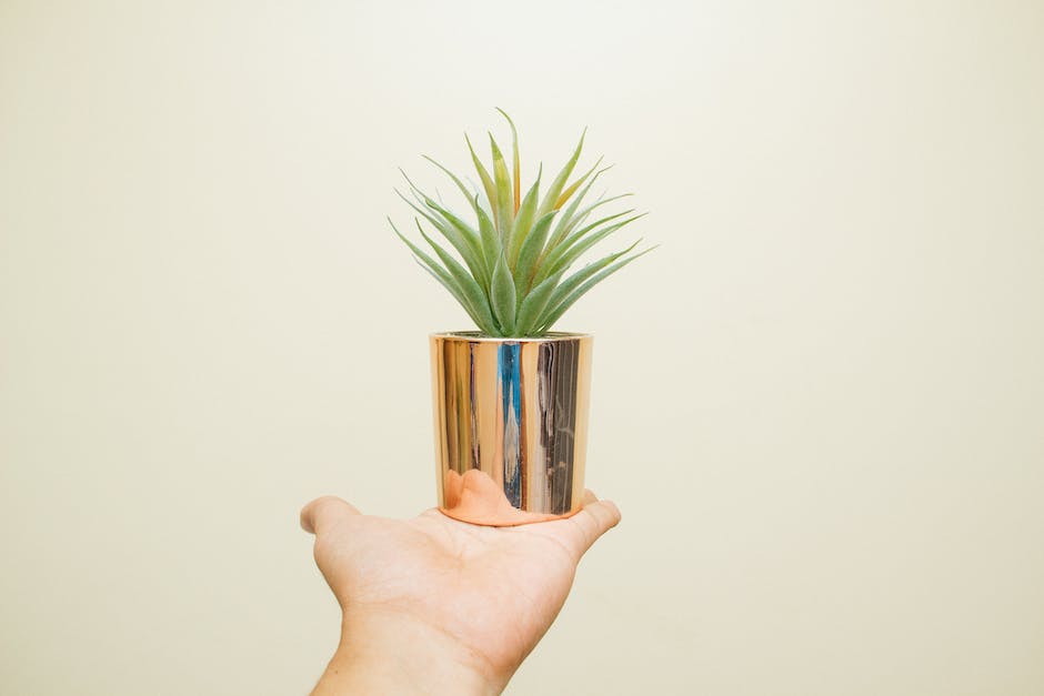 Illustration of a squirrel next to a potted plant, showcasing their dynamic relationship