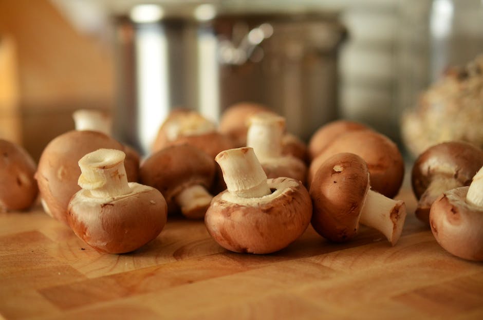 Image of stinkhorn mushrooms, showcasing their diverse shapes and colors