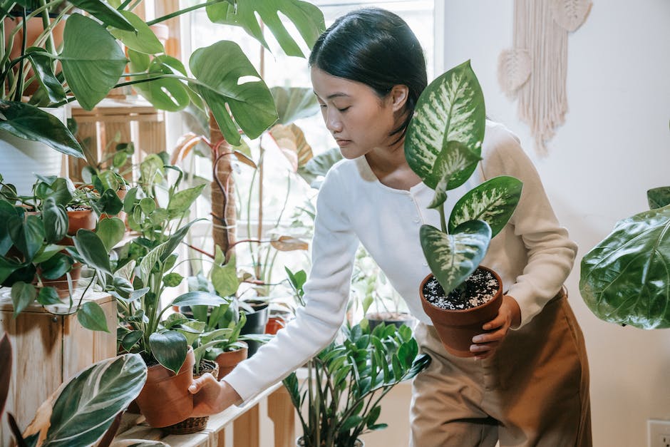 A person carefully arranging plants in a garden, paying attention to placement and spacing.