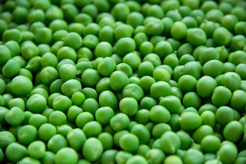 Image of sugar snap peas growing in a garden