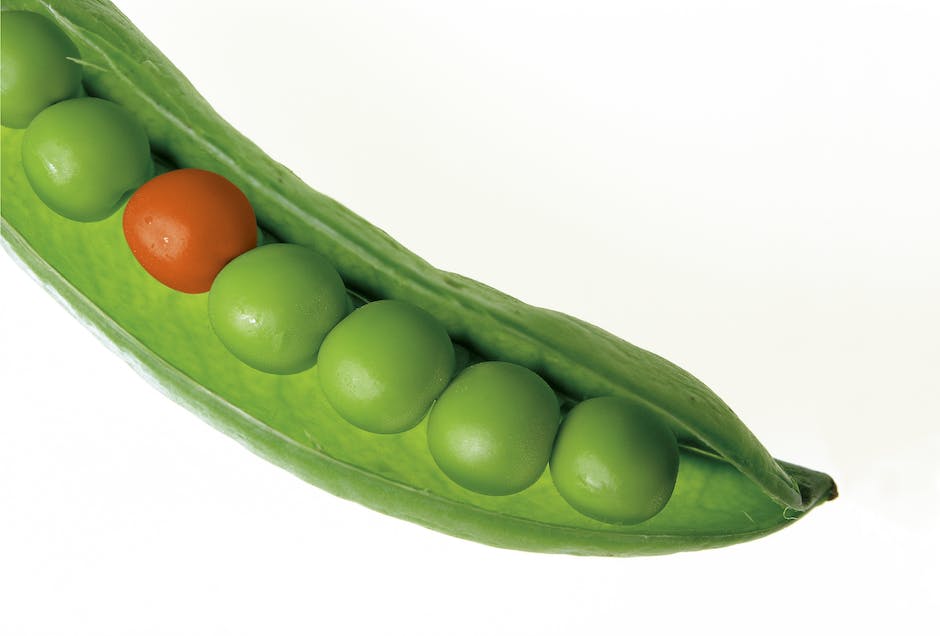 A close-up image of plump sugar snap peas on a plant, ready for harvesting