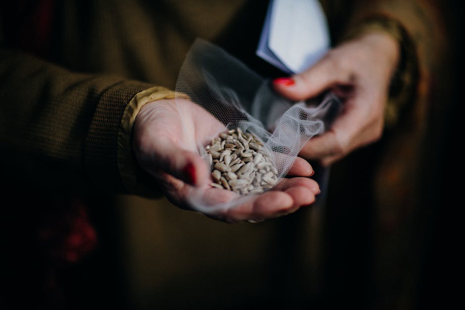 A close-up image of ripe sunflower seeds on a white plate, ready to be harvested