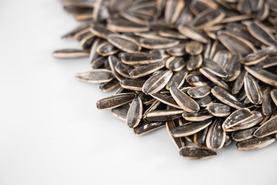 Image depicting sunflower seeds being stored in glass jars and paper envelopes, showcasing proper seed storage techniques