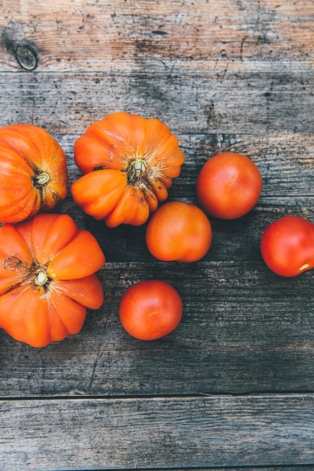 Image of tomato seeds, showing their small oval shape and gelatinous sac surrounding them, visually representing the described traits of tomato seeds.