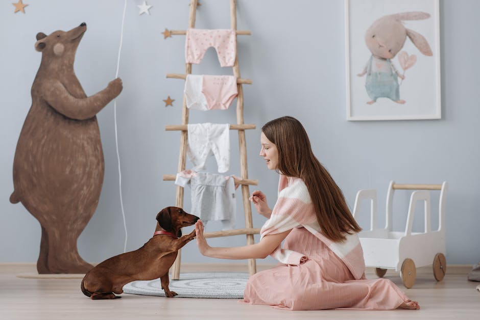 An image of a person training their dog in a garden, demonstrating responsible pet ownership and obedience training for visually impaired individuals.