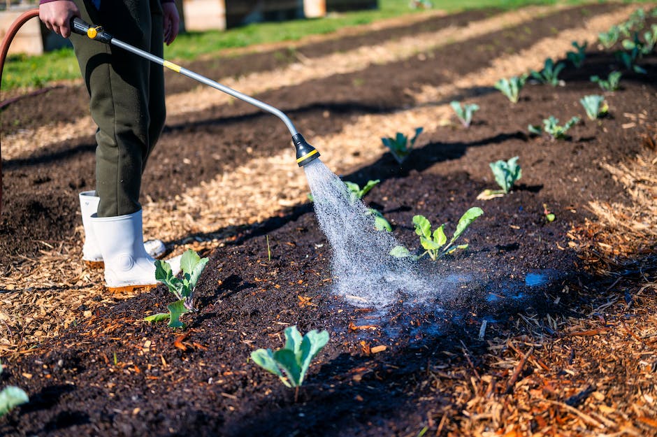 Image depicting water and soil, essential factors for plant growth