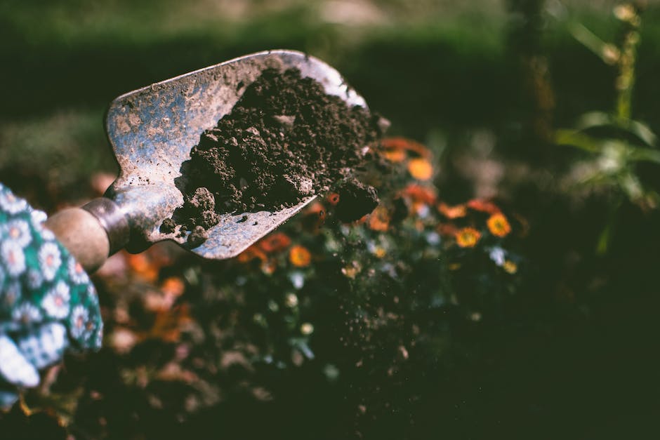 A person's hand testing the moisture level of the soil in a potted plant with their thumb