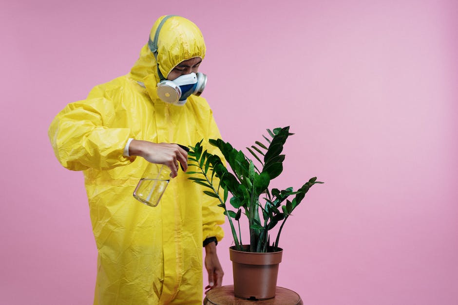 A picture of a yucca plant being removed using chemical solutions, highlighting the process of application and the protective gear used by gardeners.